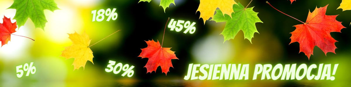 Jesienna promocja