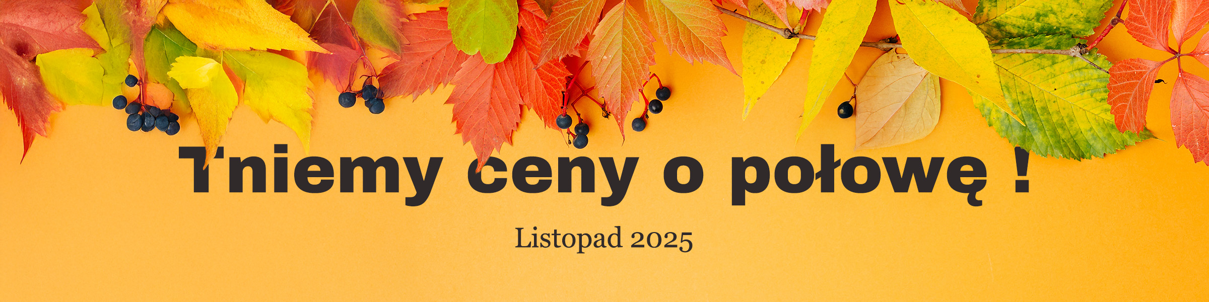 Tniemy ceny o połowę